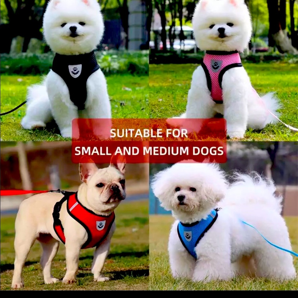 Dog harness vet